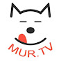 MUR.TV