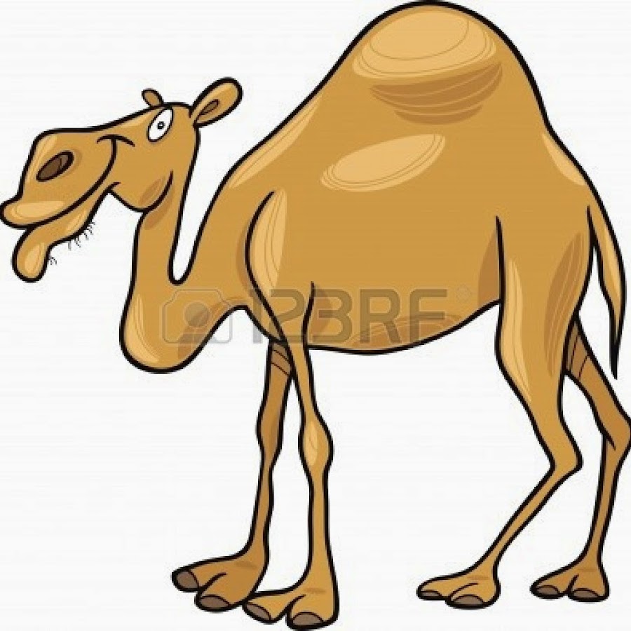 List 97+ Pictures Free Pictures Of Camel Toe Full HD, 2k, 4k