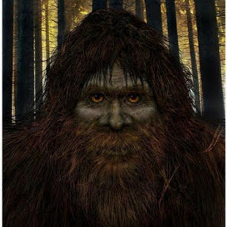 Bigfoot снежный человек. Йети липецк. Йети липецк. Бигфут животное. Йети липецк.