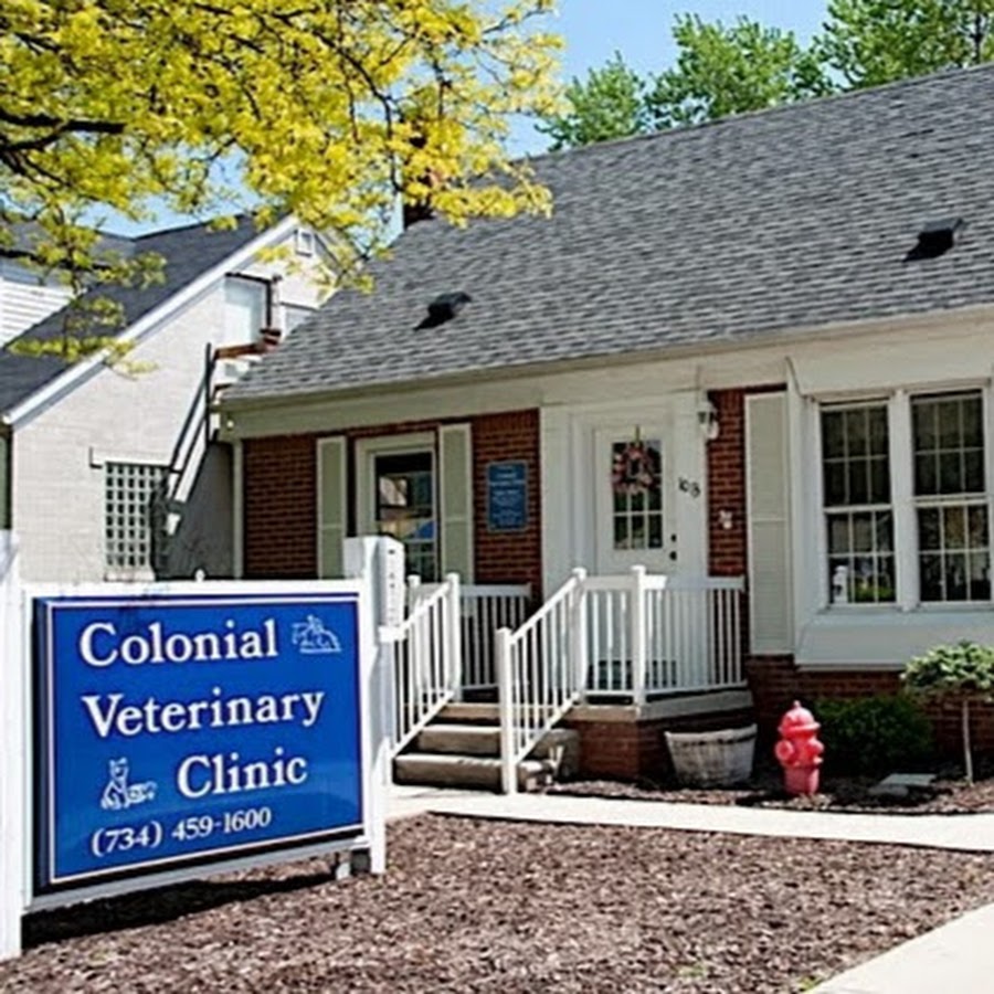Colonial Veterinary Clinic YouTube