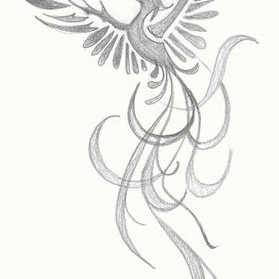 Птица феникс тату на руке женские эскизы