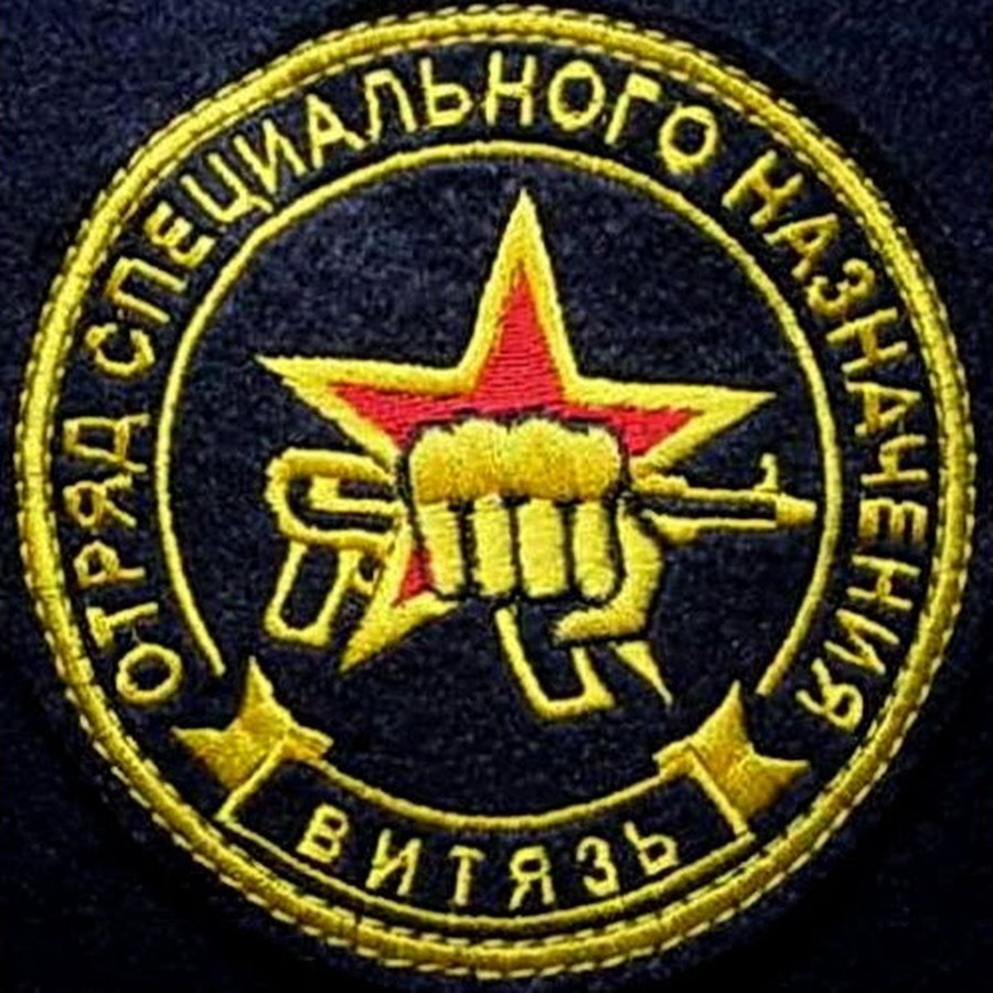 Отряд спецназа внутренних войск. ЦСН Витязь Шеврон. Осн Витязь Шеврон. ОДОН спецназ Витязь Шеврон. Шеврон спецназа МВД Витязь
