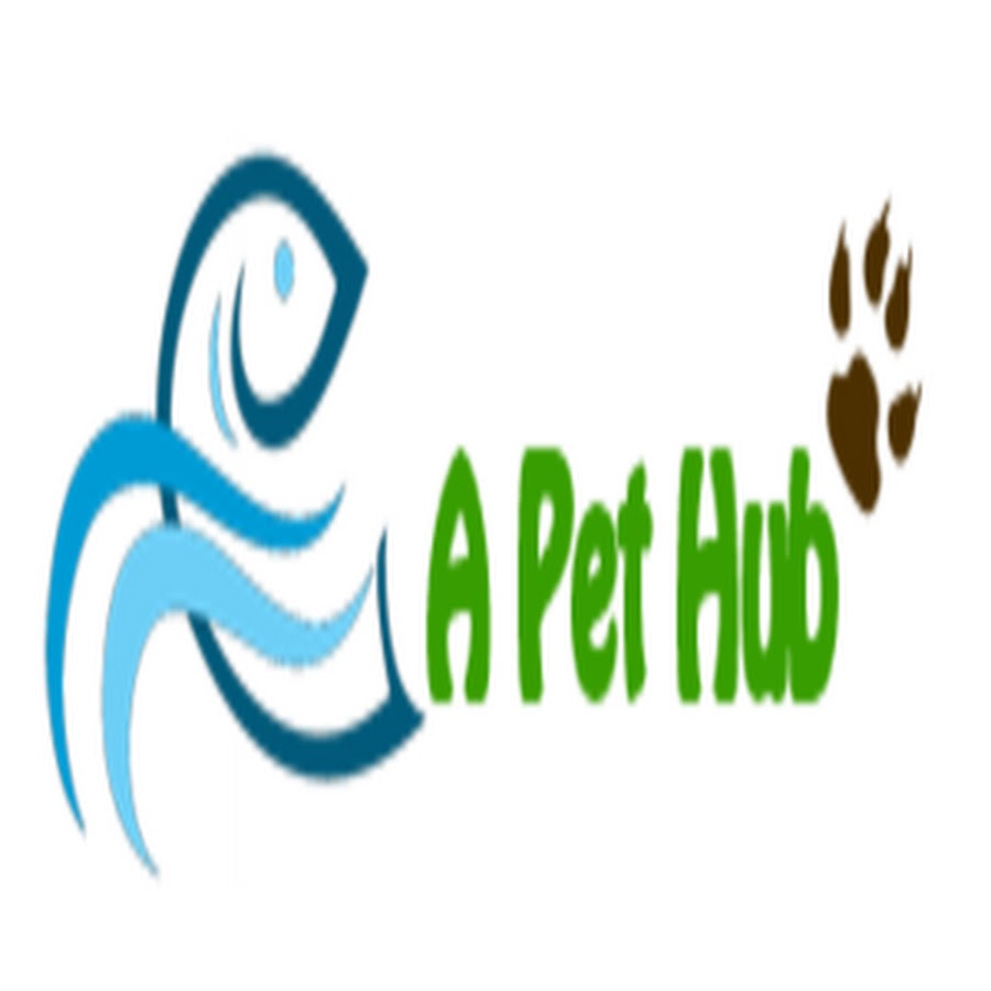 A Pet Hub YouTube