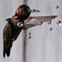 "Hummingbird Playground Fountain" by Sprink-L-ites