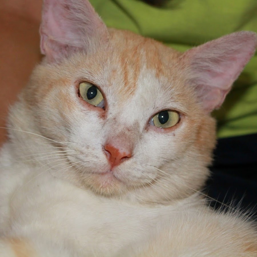 SPECIAL OFFERS & BEST DISCOUNTS 