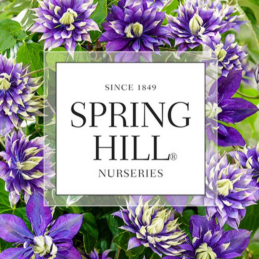Spring Hill Nurseries YouTube