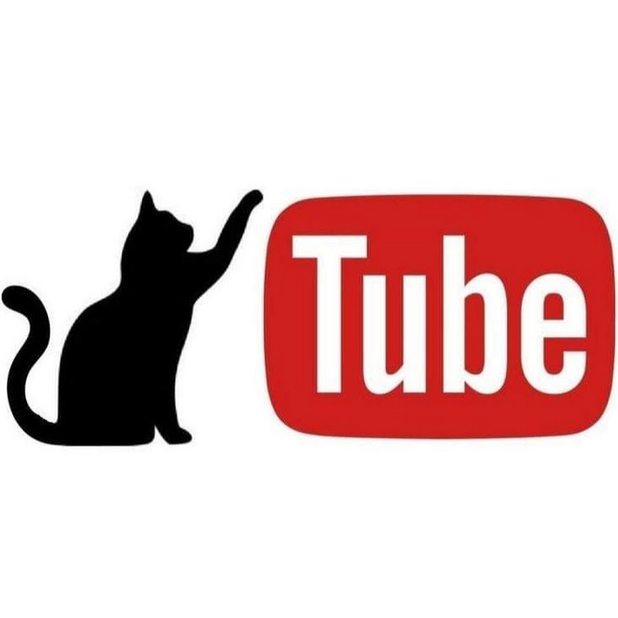 Включи котика ютуб. Кот ютуб. Иконки для ютуба с котами. Логотип для ютуба кот. Канал про кошек на ютубе.