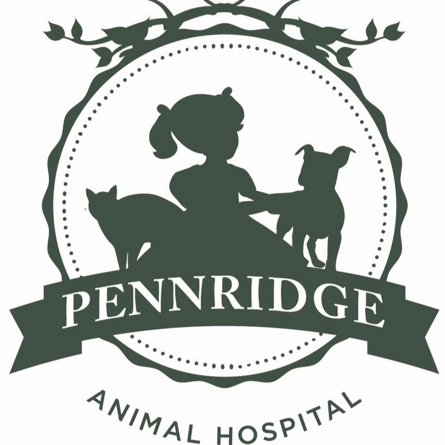 Pennridge Animal Hospital - YouTube