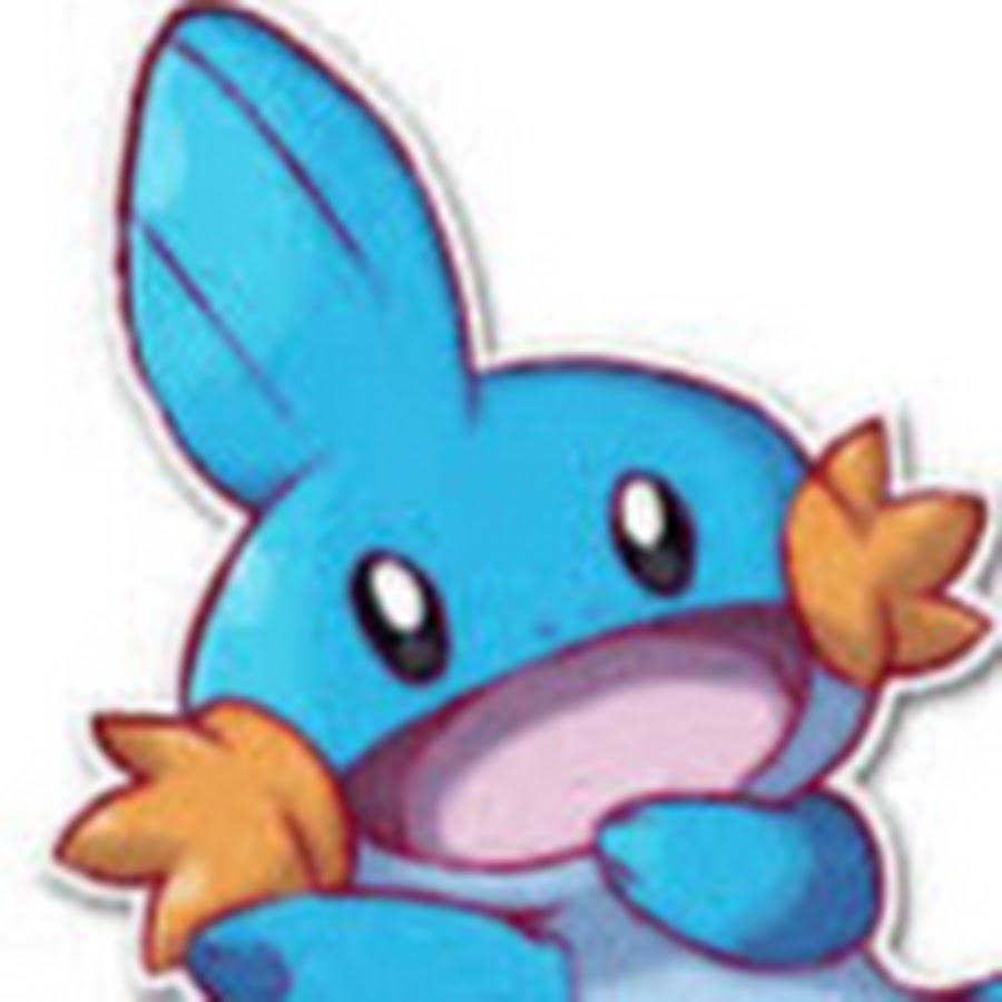 Mudkip 101 - YouTube