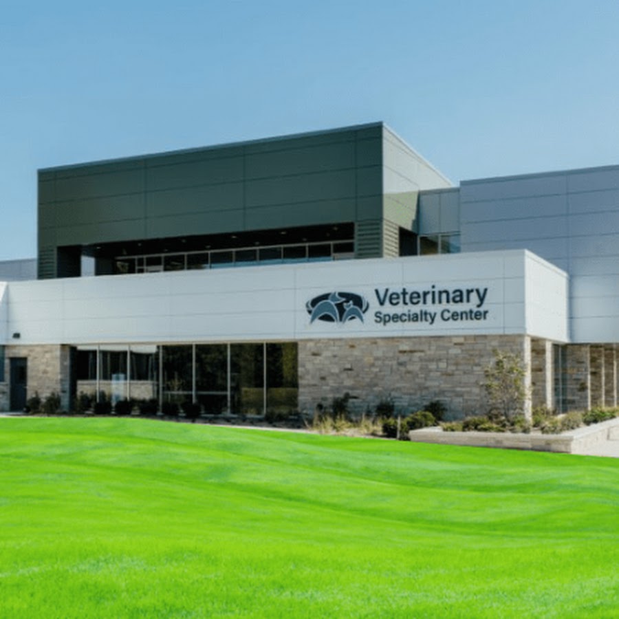 Veterinary Specialty Center YouTube