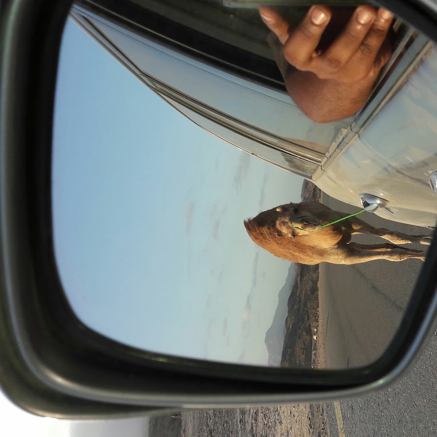 أعلى نقطة في جبال الأورال في باشكيريا ما هو أعلى جبل في باشكورتوستان كيفية الصعود على قذيفة كبيرة