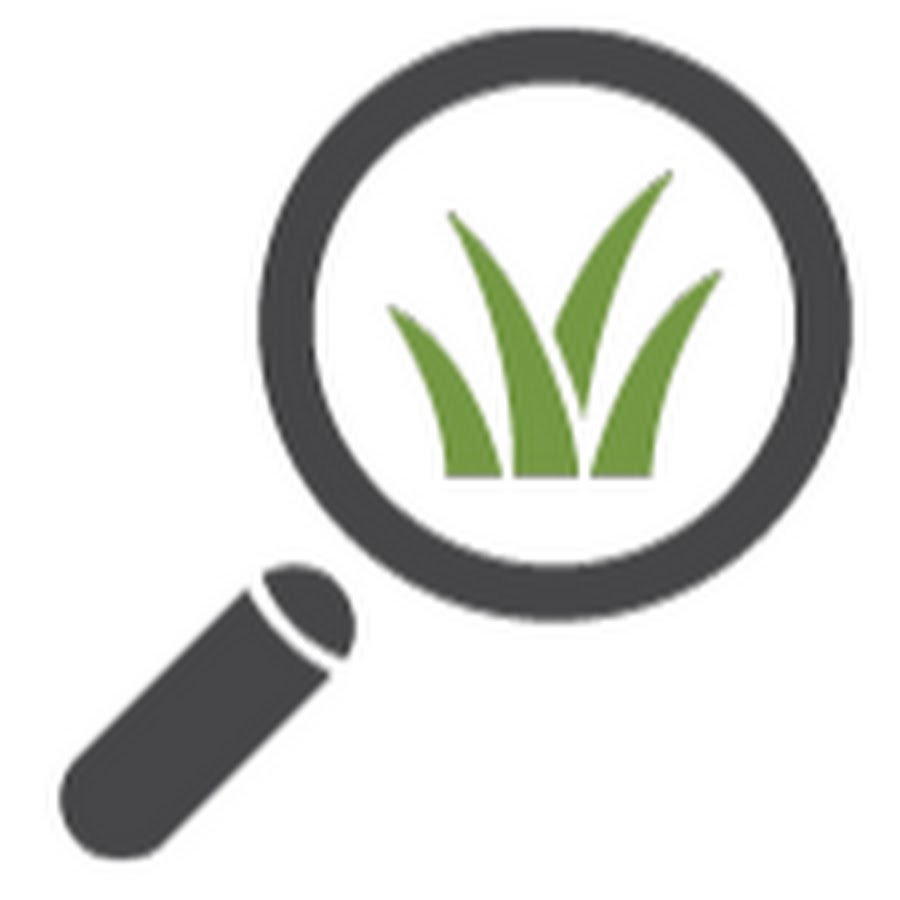 Learning Blade YouTube