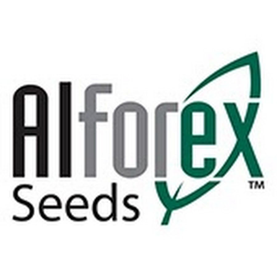 Alforex seeds artois ca weather forex analysts forecasts