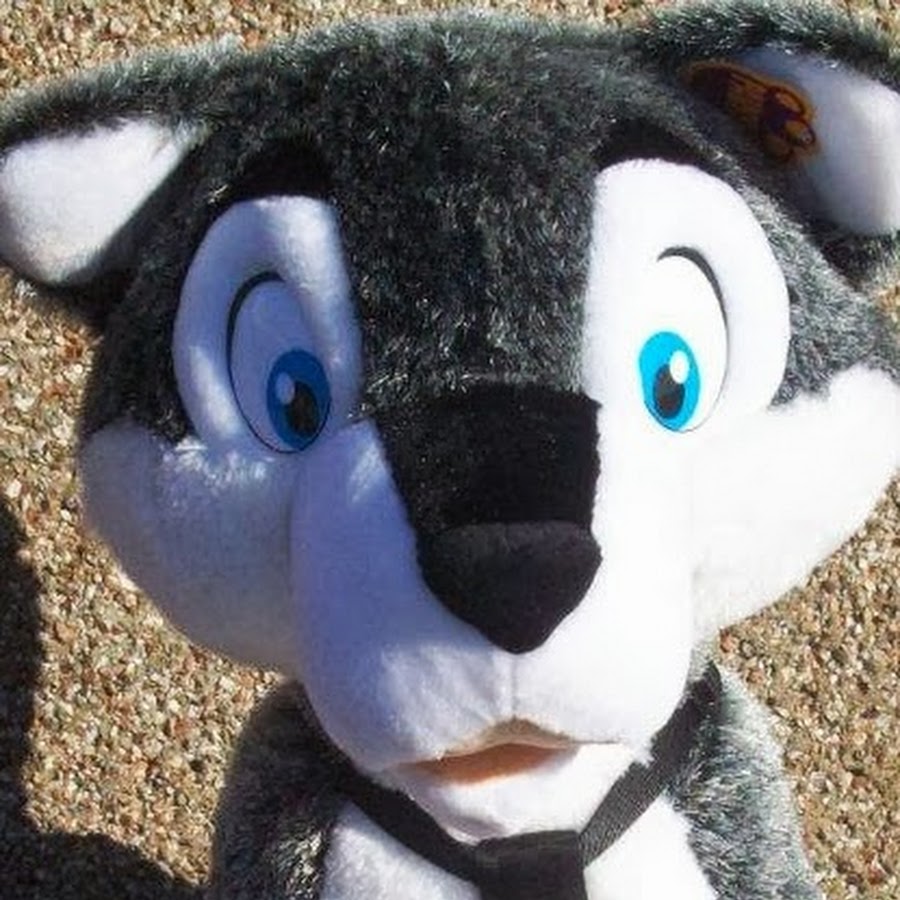 Mrs Murray's Cat and Dog Home YouTube