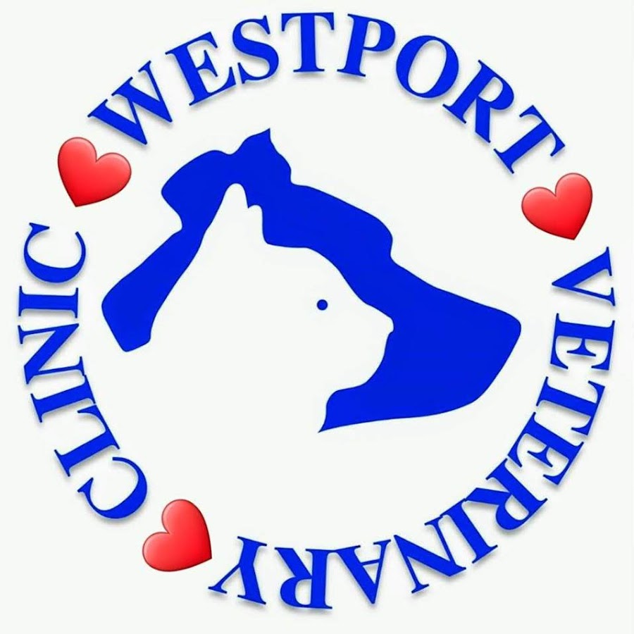 Westport Veterinary Clinic YouTube