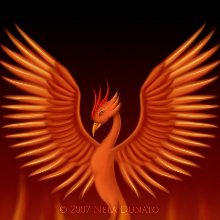 феникс алхимия. подразделение феникс арт. старый феникс. алхимические гравюры феникс. птица феникс в христианстве.