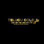 TELUGU GOLD ENTERTAINMENTS TV