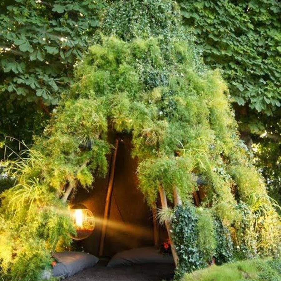 Плющ гринхарт. Шалаш на даче. Укрытие из веток. Дерево патрик догерти. Шалаш для фасоли.