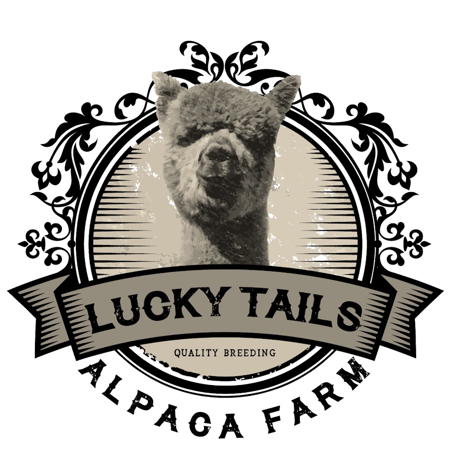 Lucky Tails Alpaca Farm 