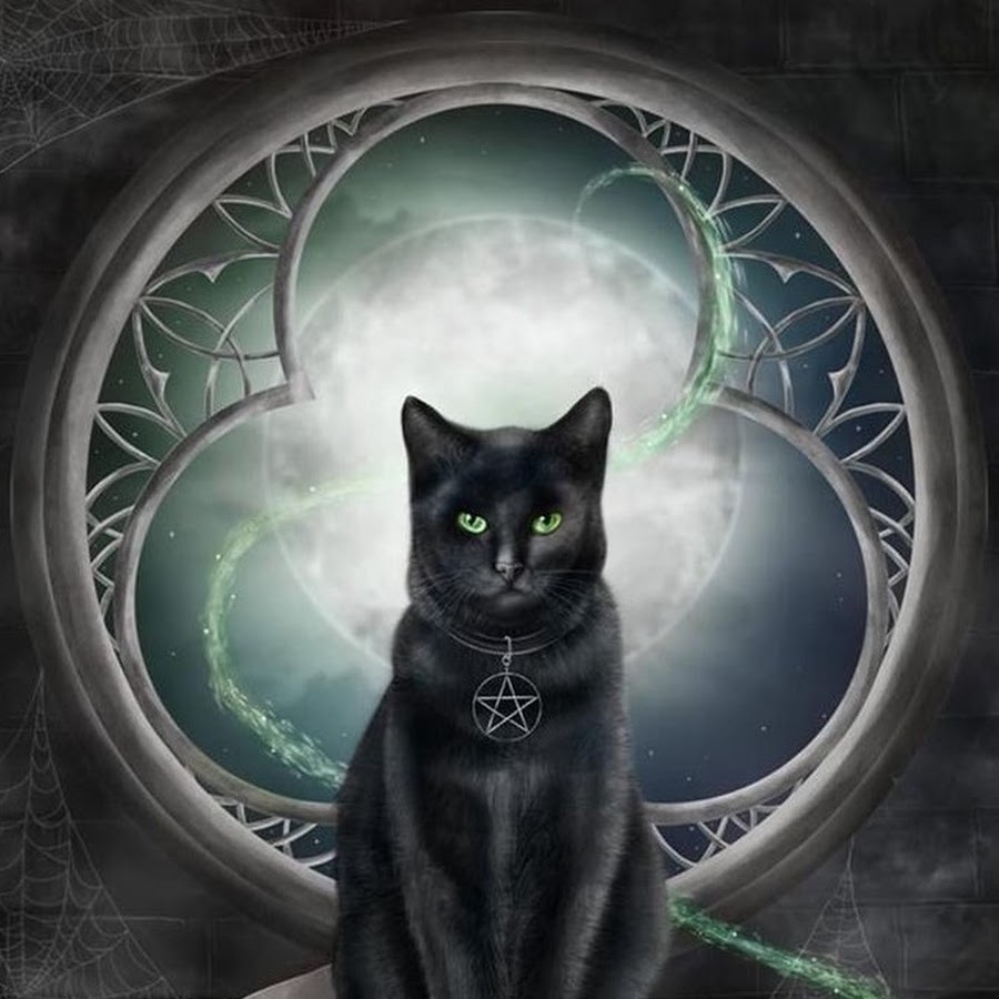 Сказочный черный кот. Мистический кот. Волшебные котики. Магические кошки. Кот мистика.