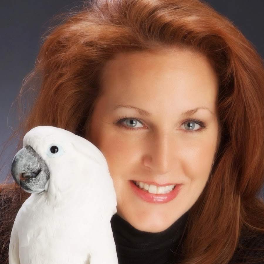 The Animal Behavior Center - YouTube