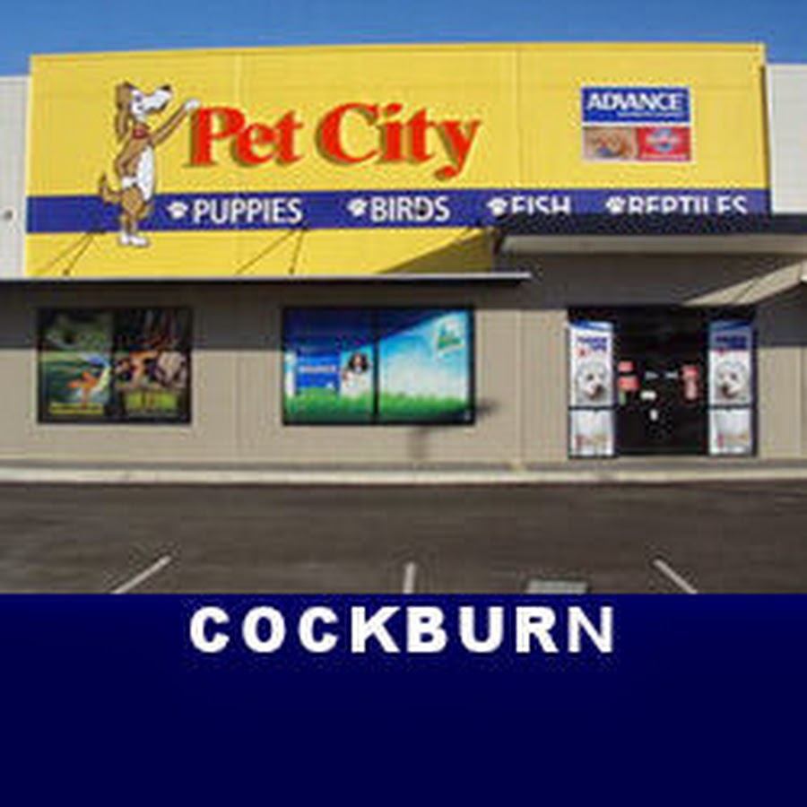 Pet city. Petcity ee. приложение для питомцев. Pet city. Pet city магазин.