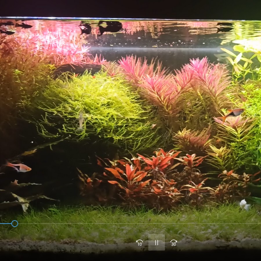 Toys Commercial - YouTube