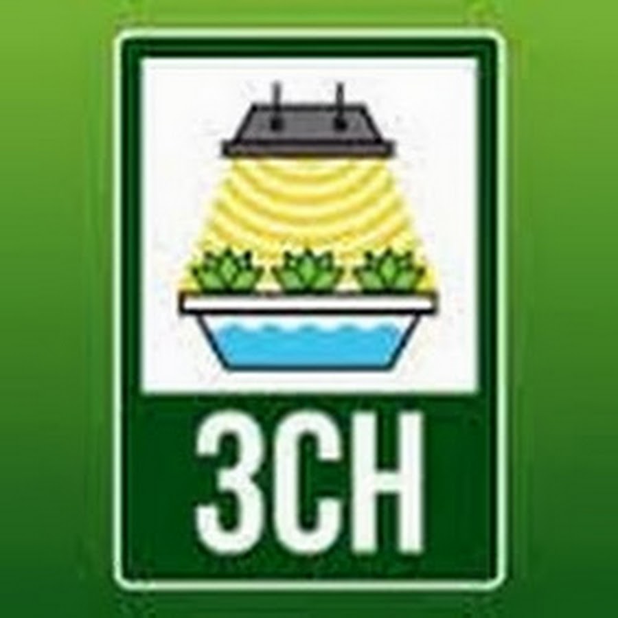 3CHSouthampton 