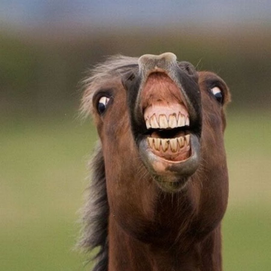 THE ДЕБИЛИЗМ - YouTube