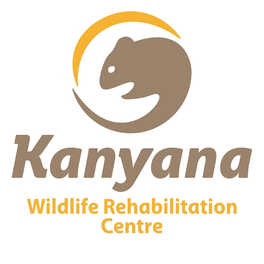WildlifeKanyana 
