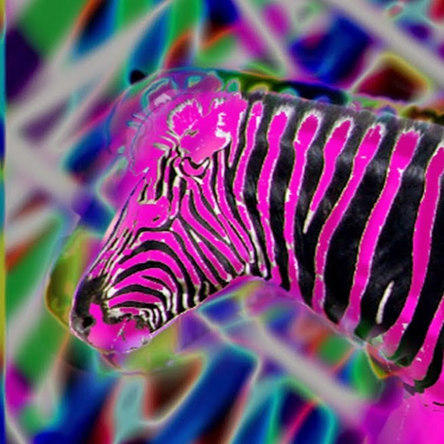 Bootstrap Paradox YouTube