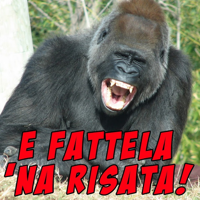 Comici Italiani Net Worth & Earnings (2026)