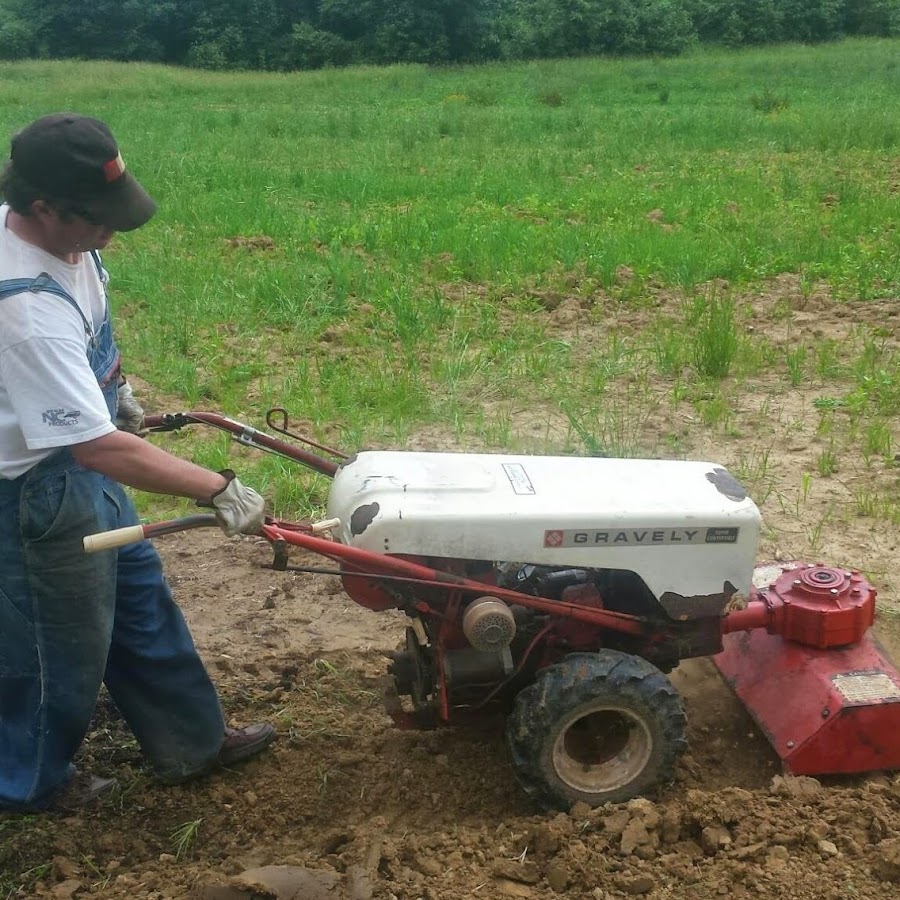 Armchair Economist Robert Spalding / Campaigners call for coalition