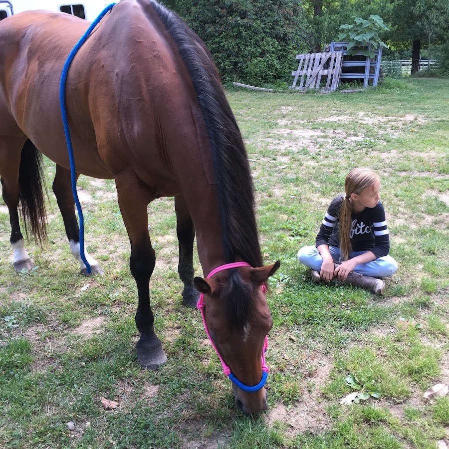 Horse Ownership