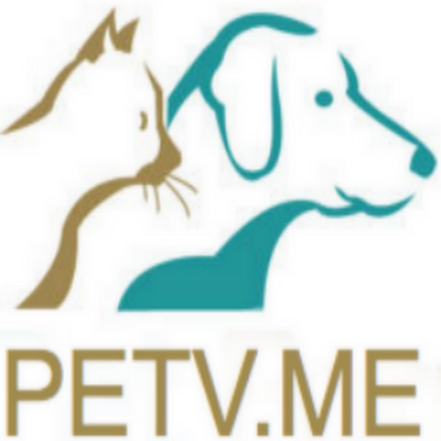 PET TV 