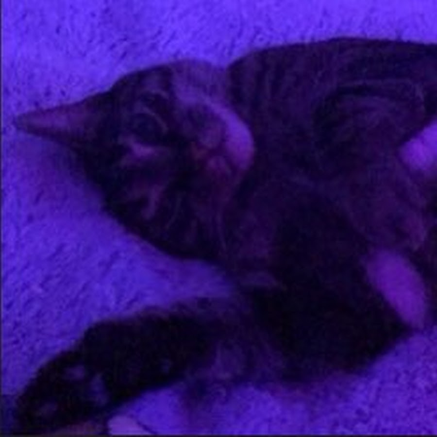 Coffee Queen - YouTube