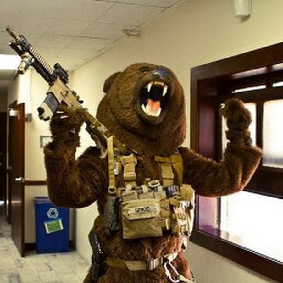 Tactical Grizzly Bear - YouTube