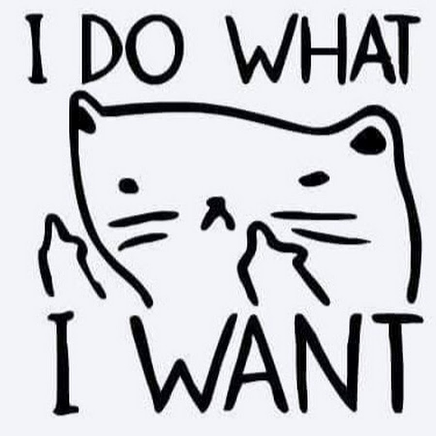 Can want. Get what you want. Предложение с get off my back. Please please please let me get what i want. Кот показывает фак из за угла.