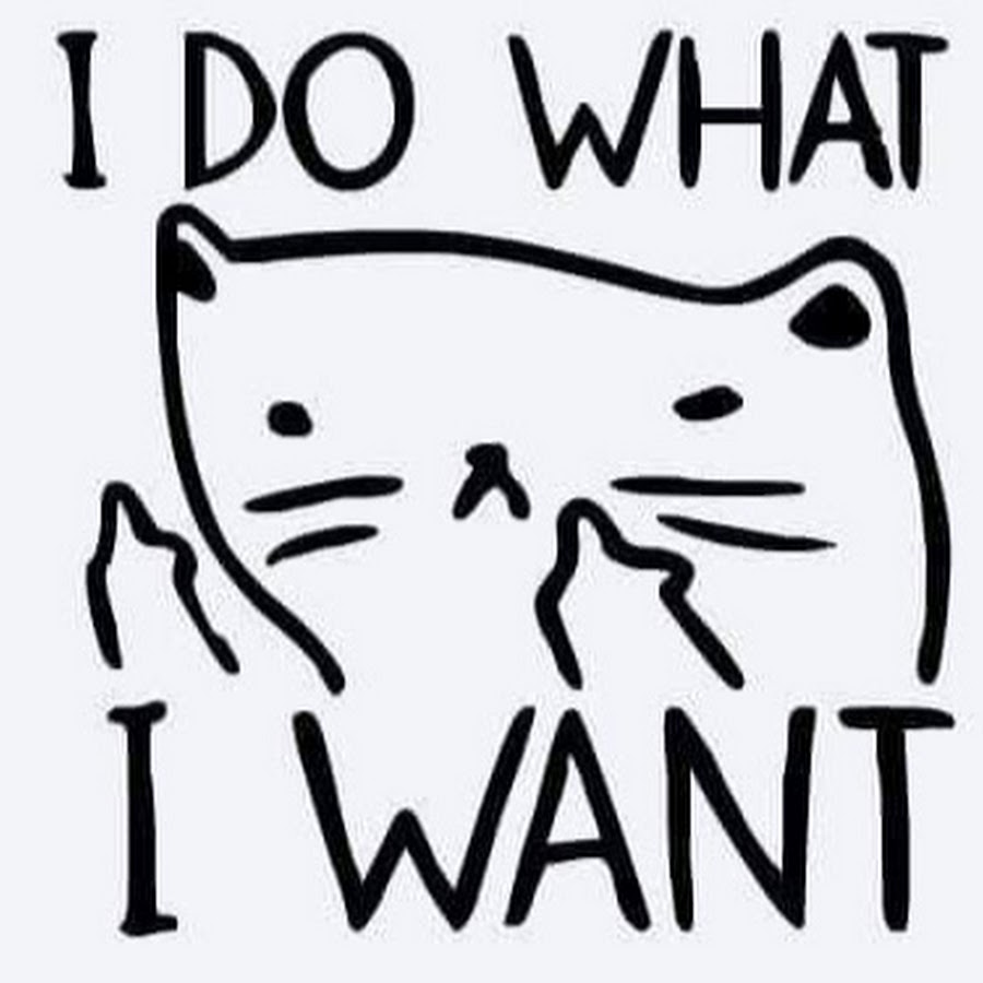 What i want you got. I do what i want. i do what i want мем. картинки what i want. what do you want картинка.
