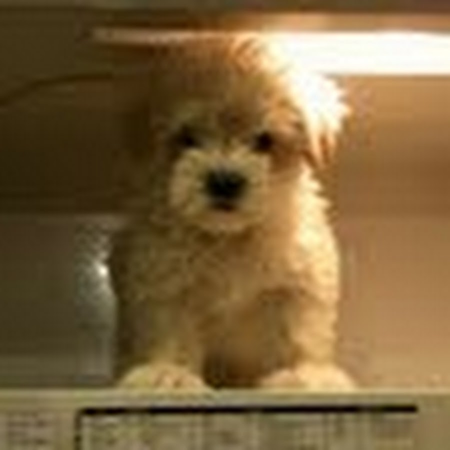 Judy Myint - YouTube