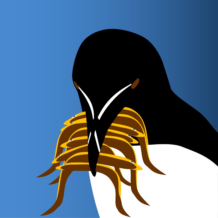 Razorbill 