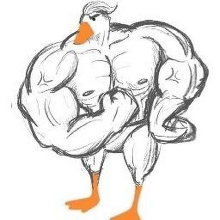 Дорисуй гуся картинка