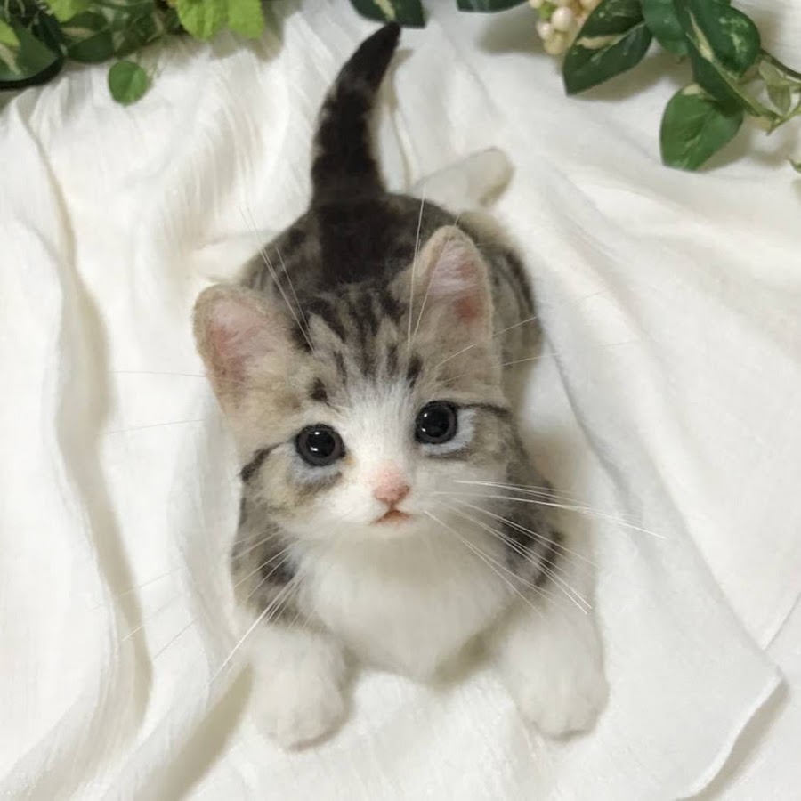 Cute Animals - YouTube