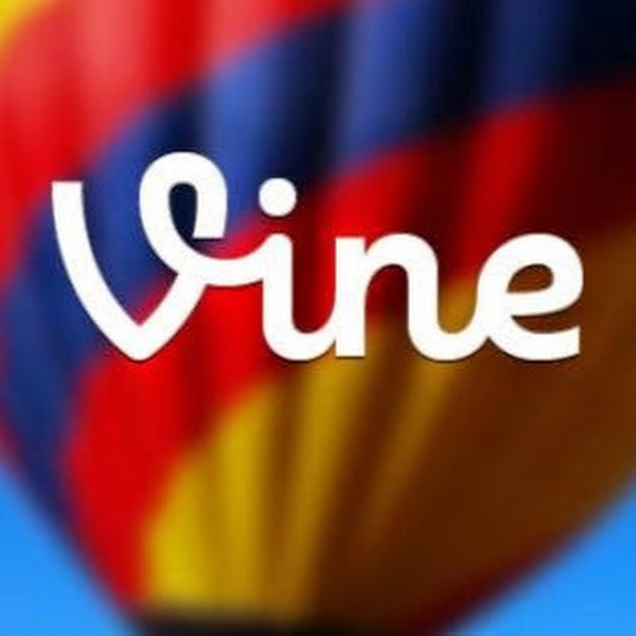 World's Best Vines 