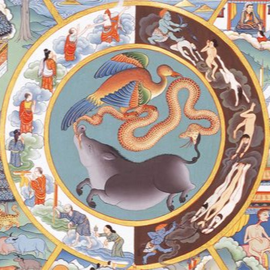 Перерождение цикл жизни. Бхагават гита переселение душ. Реинкарнация животных. Реинкарнация животных. Животные с душой.