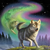 SpiritsoftheWolf