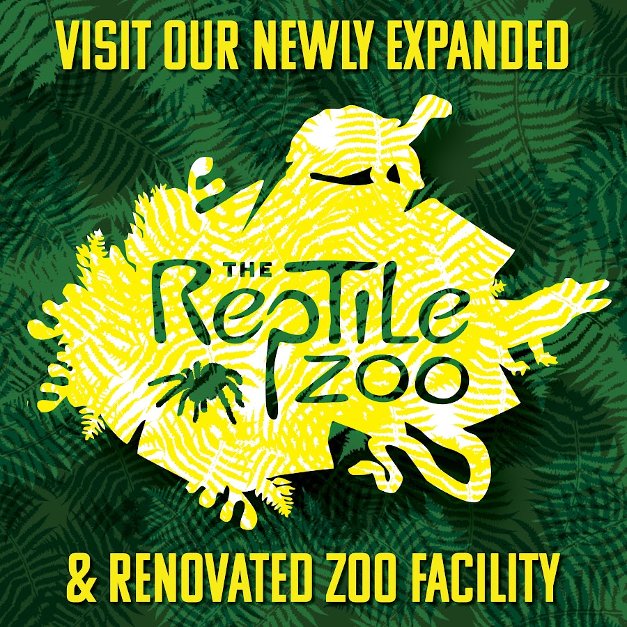The Reptile Zoo YouTube