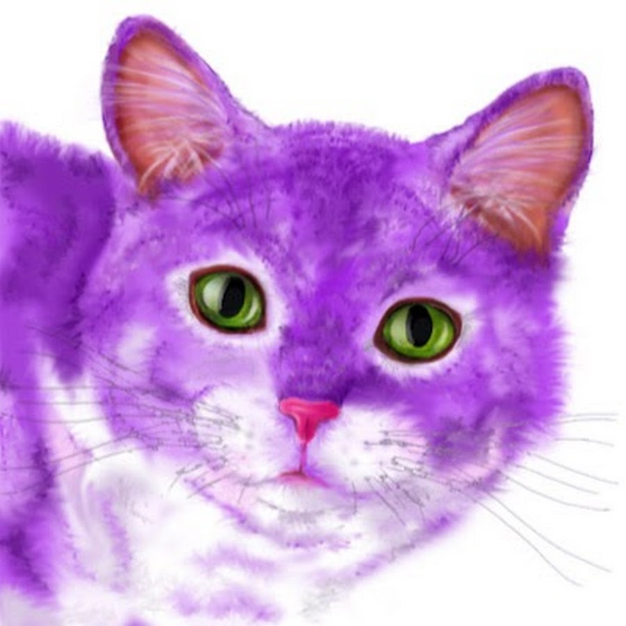 Фиолетовый кот видео. Фиолетовая кошка. Фиолетовые коты. Сиреневая кошка. Котик на фиолетовом фоне.