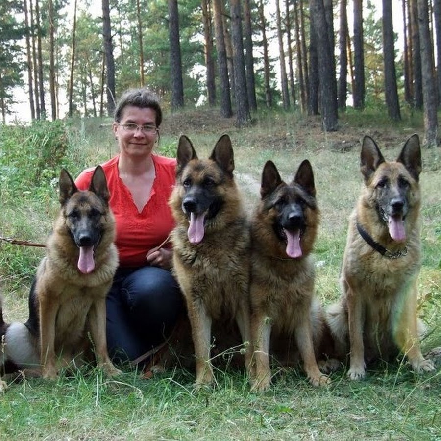 Арваренч. Арваренч Мончегорск