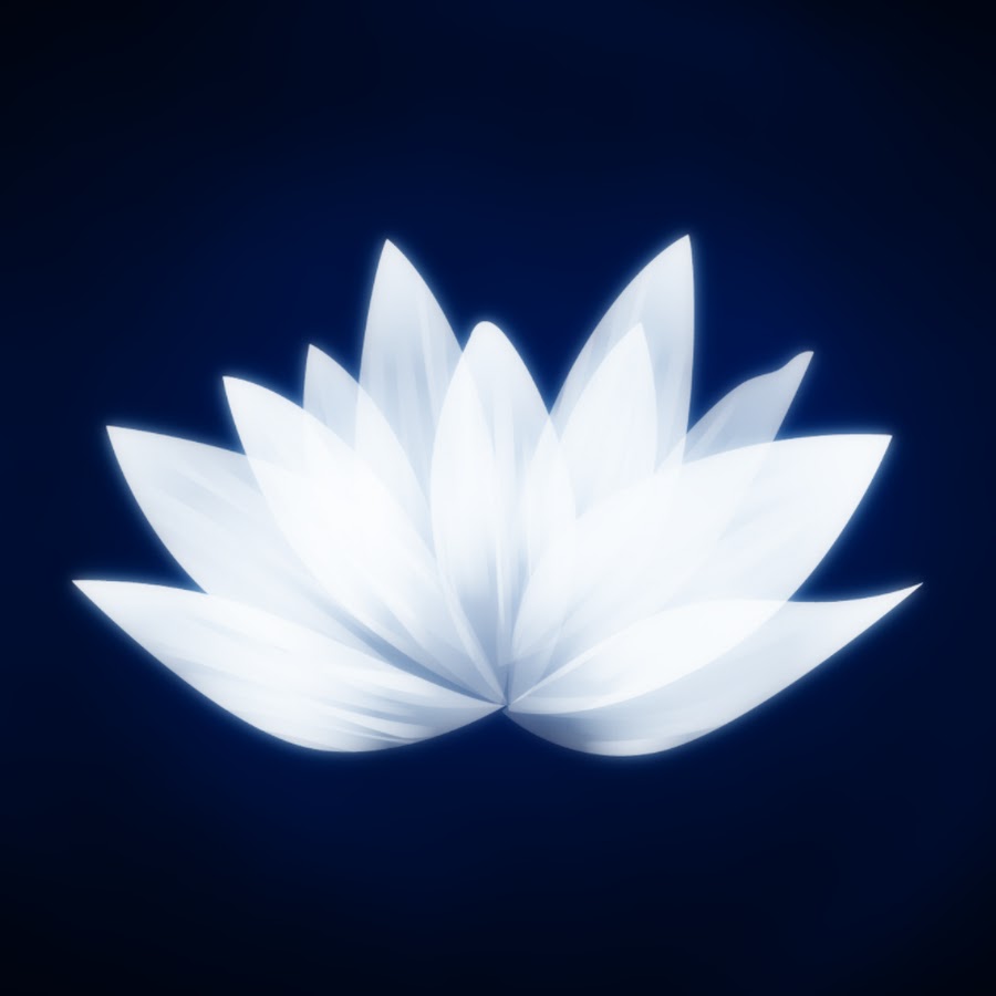 Dr lotus коврик